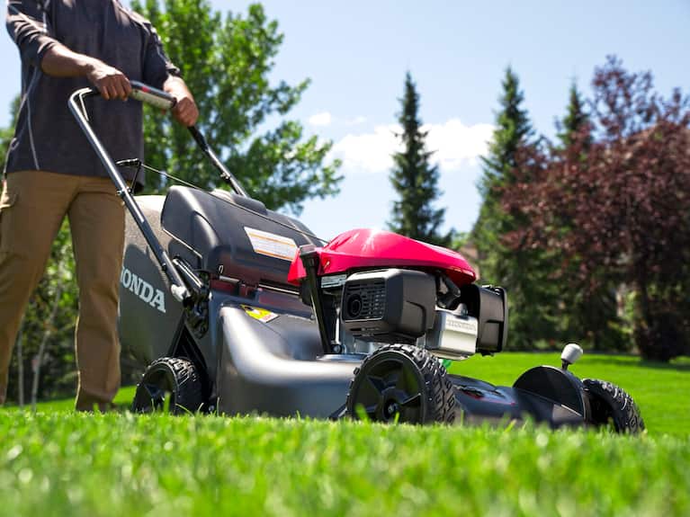 TRANSFORM YOUR LAWN THIS SUMMER 