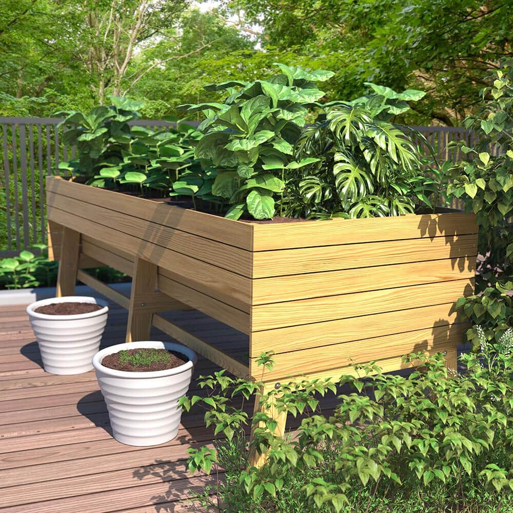 Wooden raised garden bed with greenery.