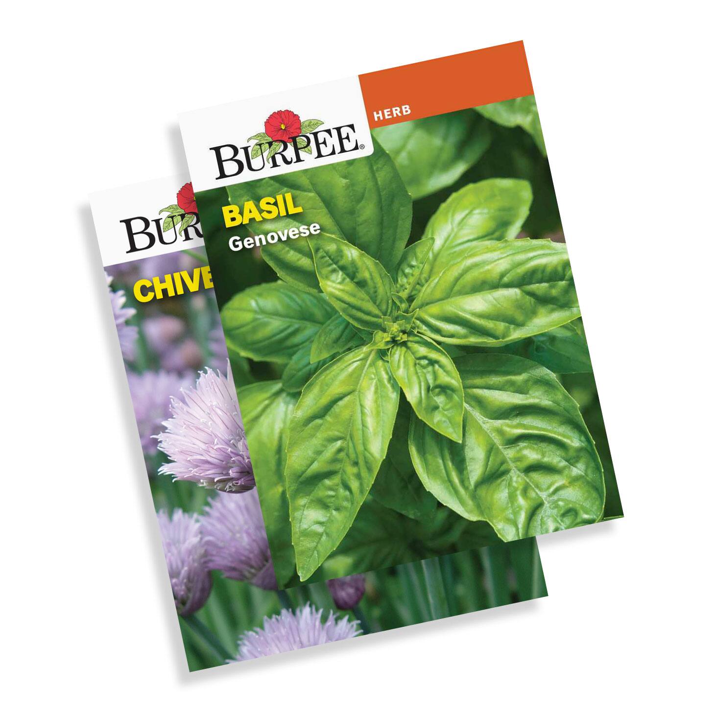 Herb Seeds