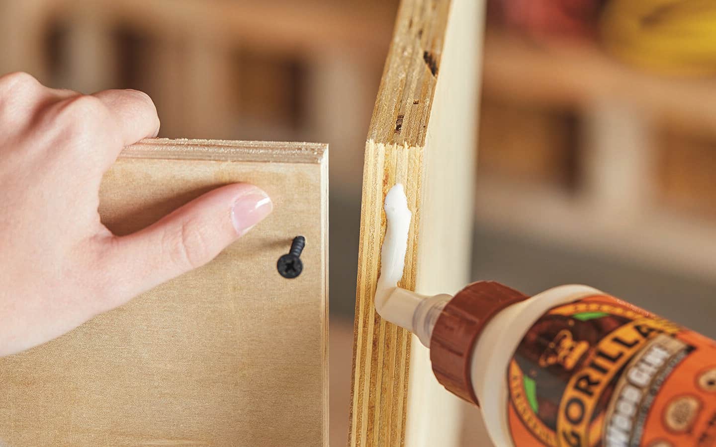 A person adds wood glue before attaching screws to plywood. A person adds wood glue before attaching screws to plywood.
