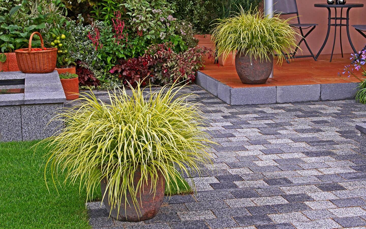 Ornamental grasses in pots on a patio Ornamental grasses in pots on a patio