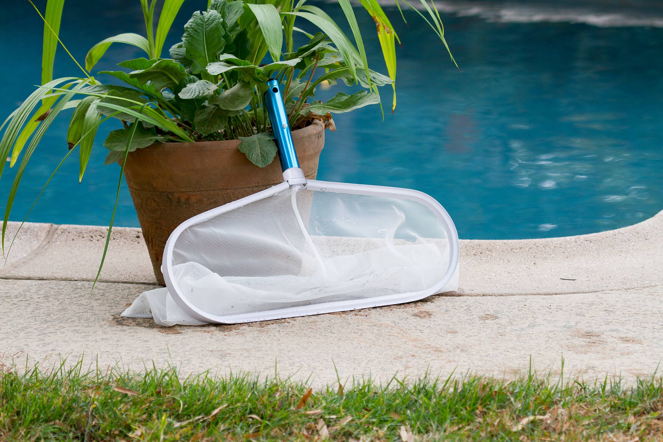 Image for Pool Cleaning Supplies