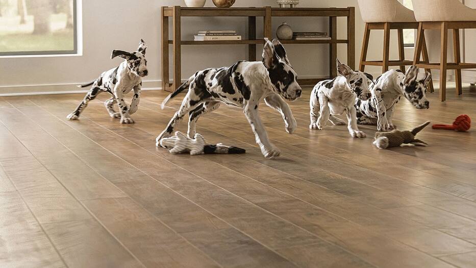 Scratch Resistant Laminate Flooring