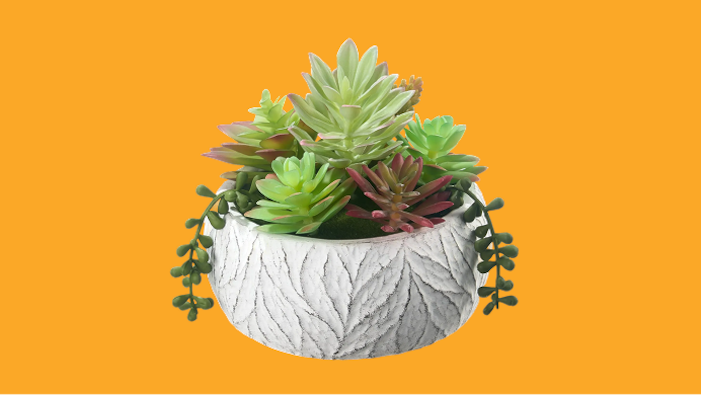 Up to 25% Off Select Artificial Plants