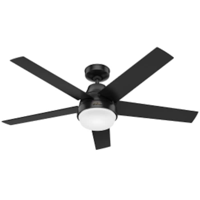 Ceiling Fans with Lights