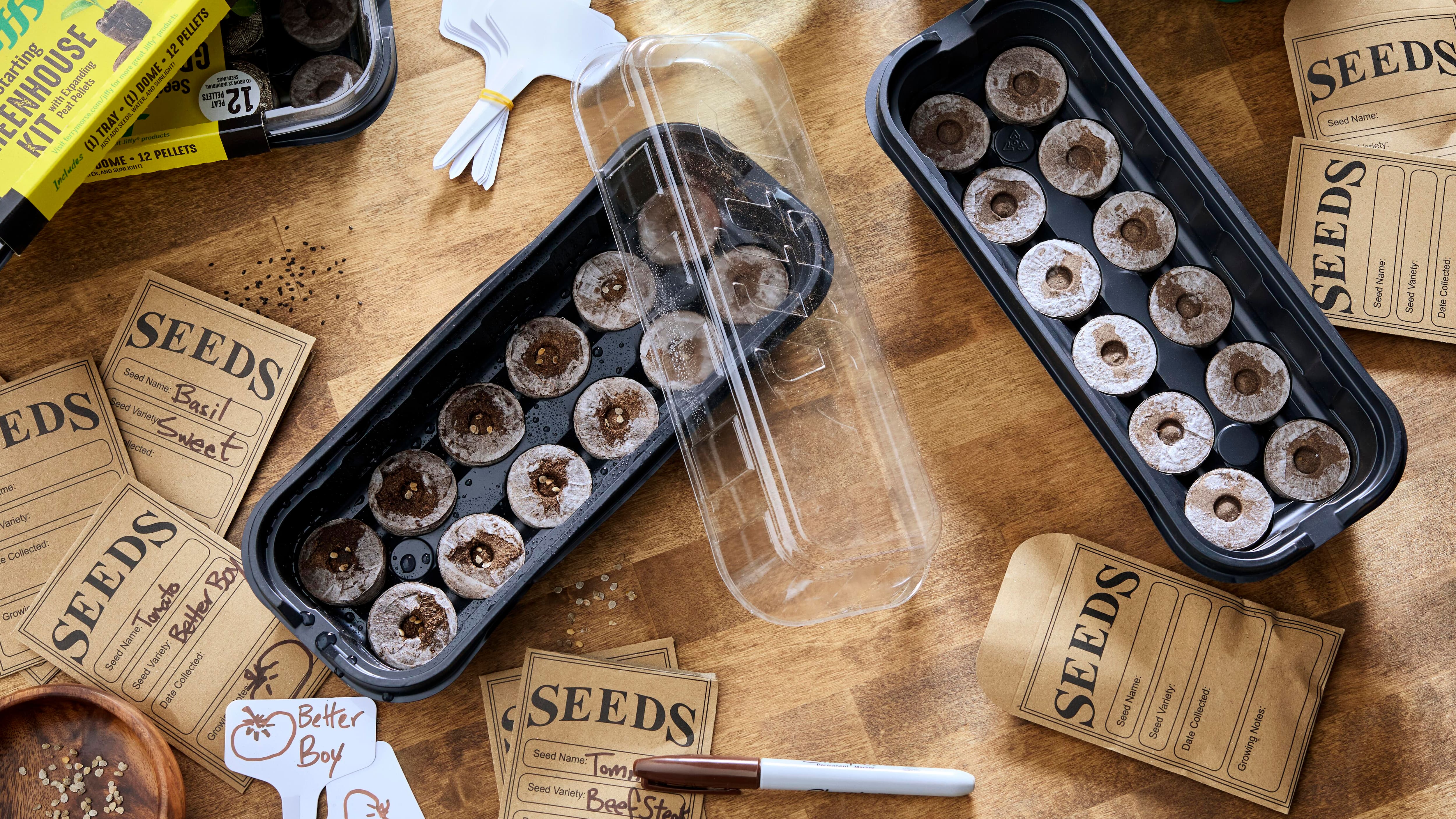 Image for GET YOUR GARDEN GROWING FROM SCRATCH