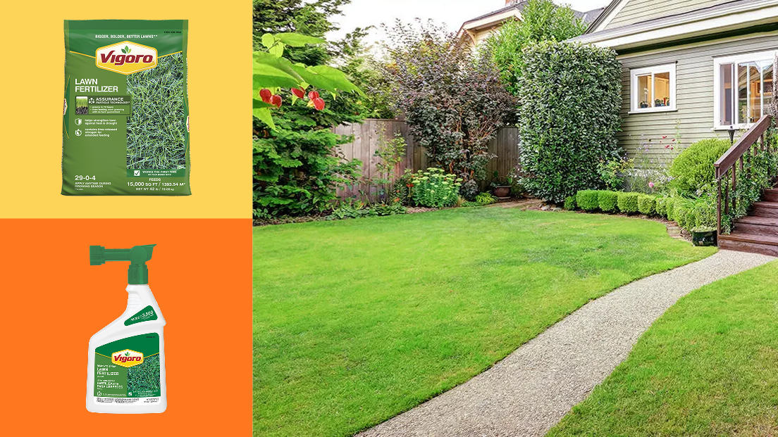 Image for MAINTAIN YOUR LAWN