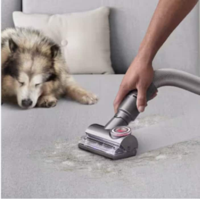 Pet Hair Vacuums