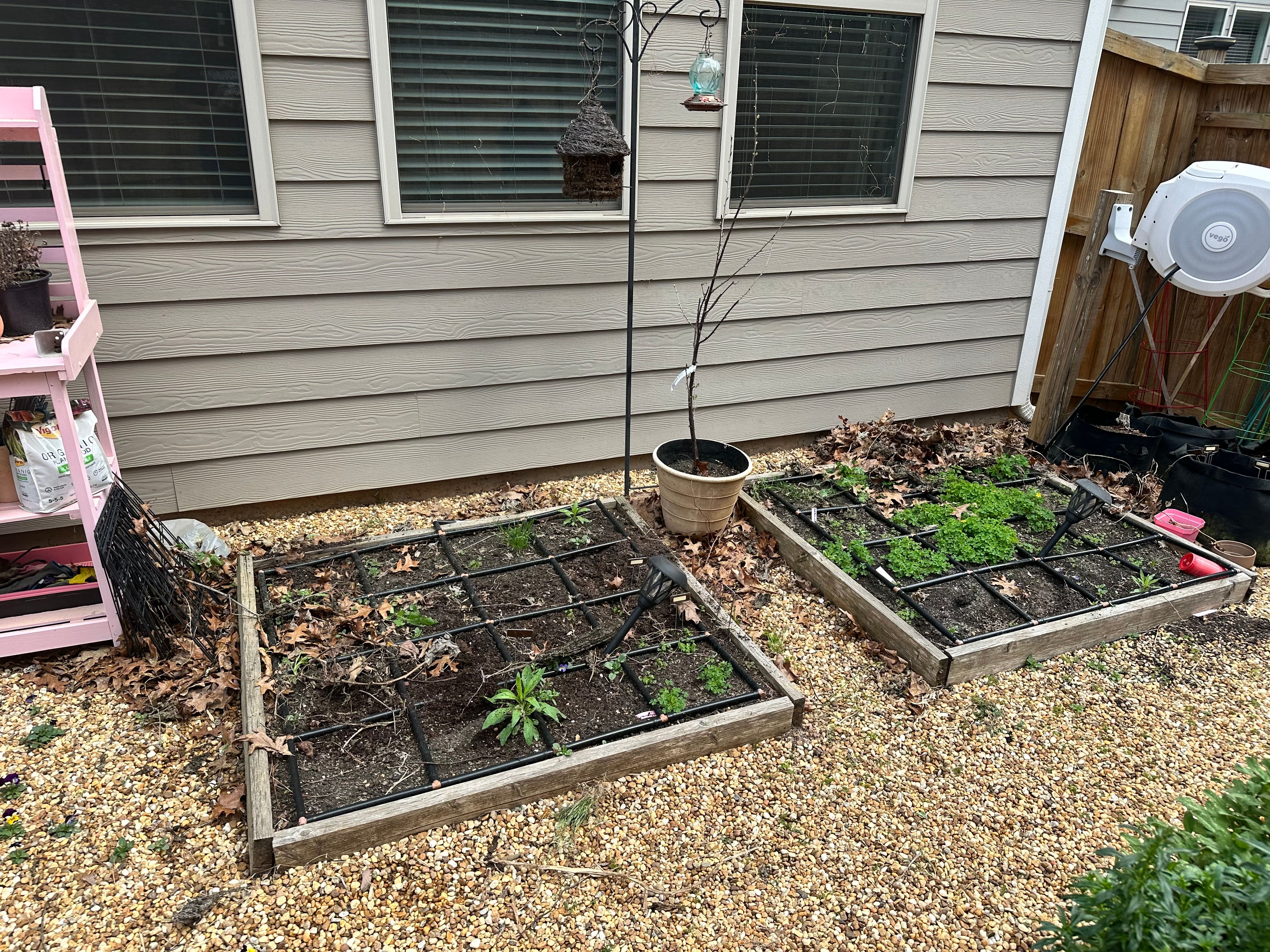 View of a barren garden area with two raised garden beds. View of a barren garden area with two raised garden beds.