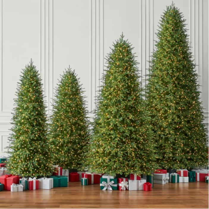 Christmas Trees