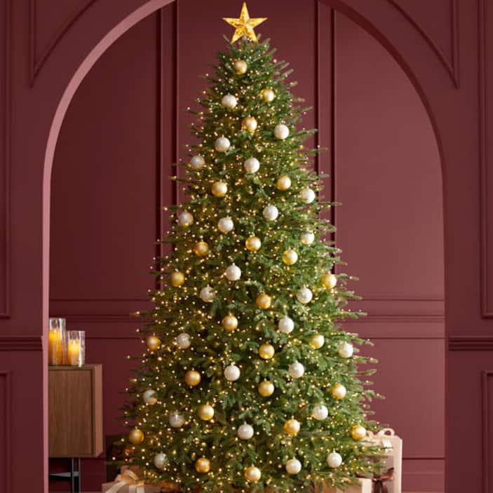 9 ft. Grand Duchess Balsam Fir Tree