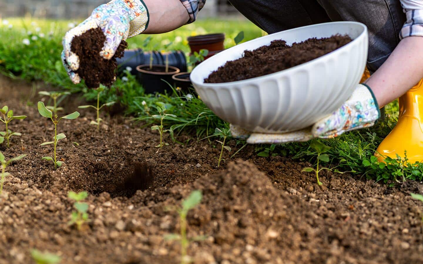 Gardener placing compost in a garden bed