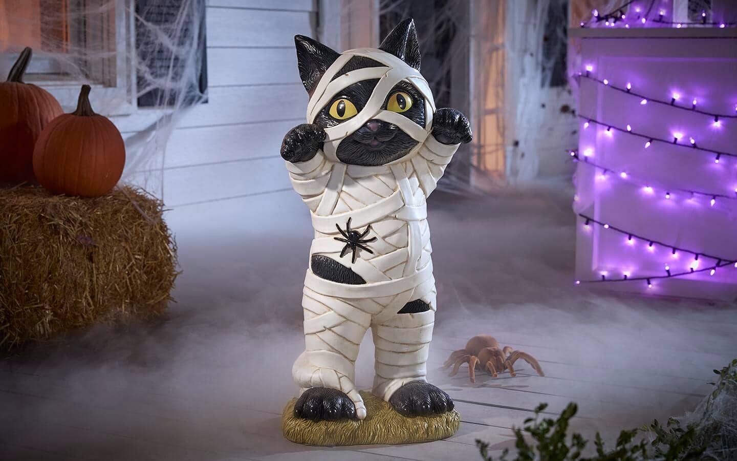 A black cat dressed as a mummy sits on a Halloween porch. A black cat dressed as a mummy sits on a Halloween porch.
