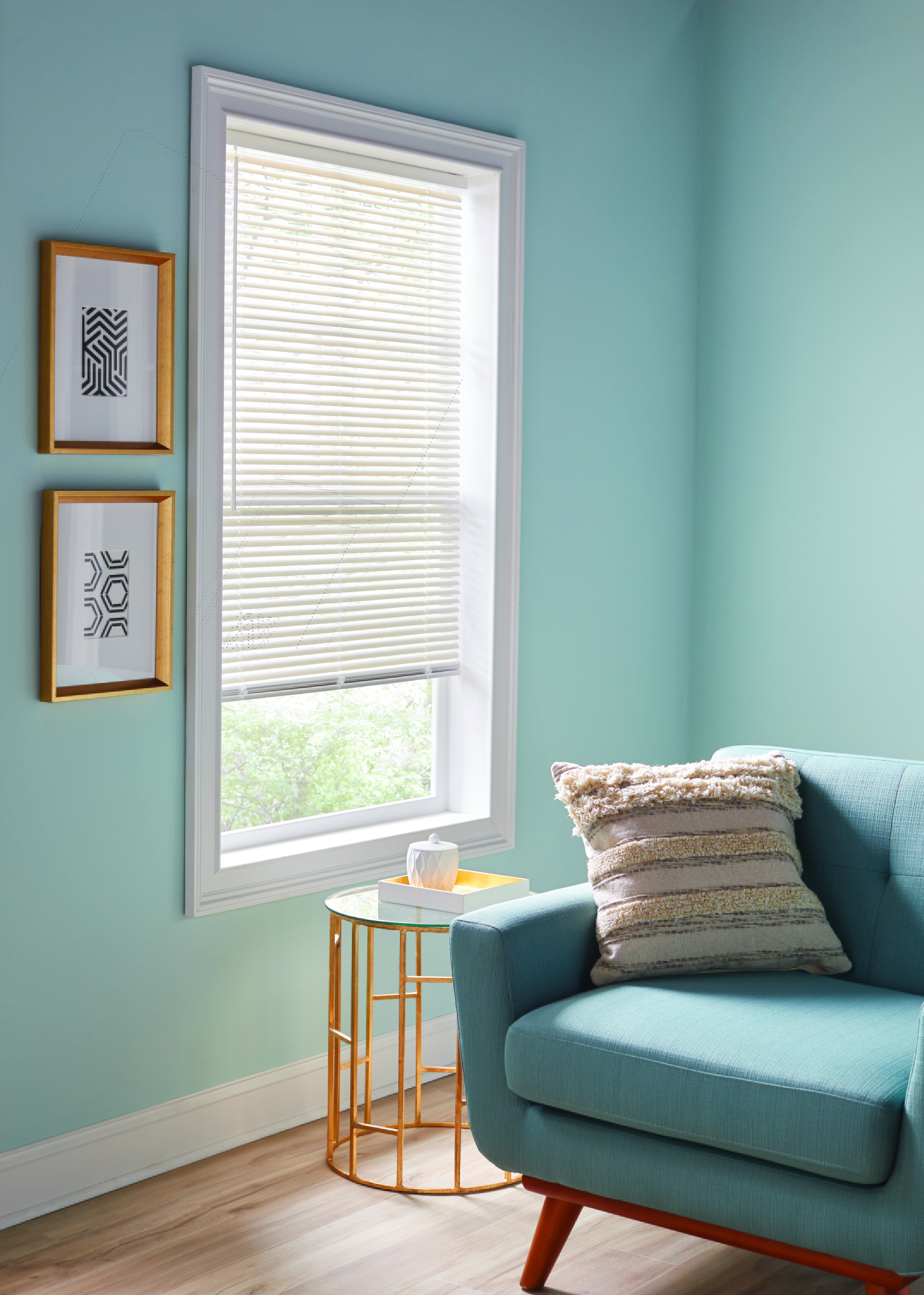 1" Vinyl Mini Blinds 1" Vinyl Mini Blinds