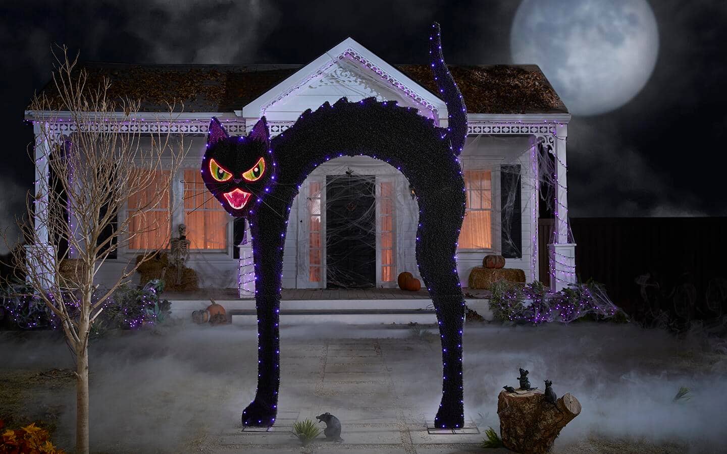 A black cat leads the way to a spooky Halloween experience.