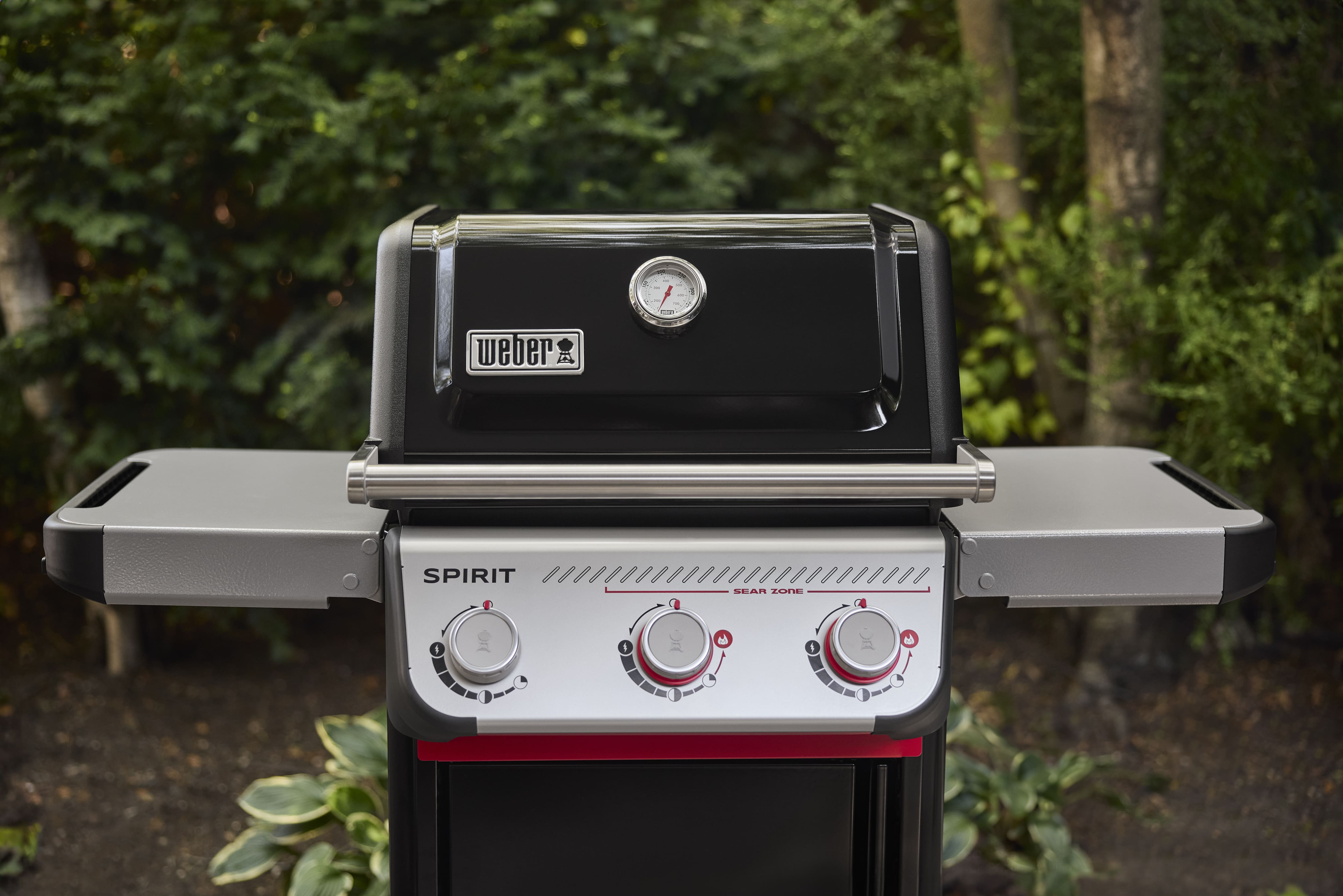 Image for GRILLS READY TODAY