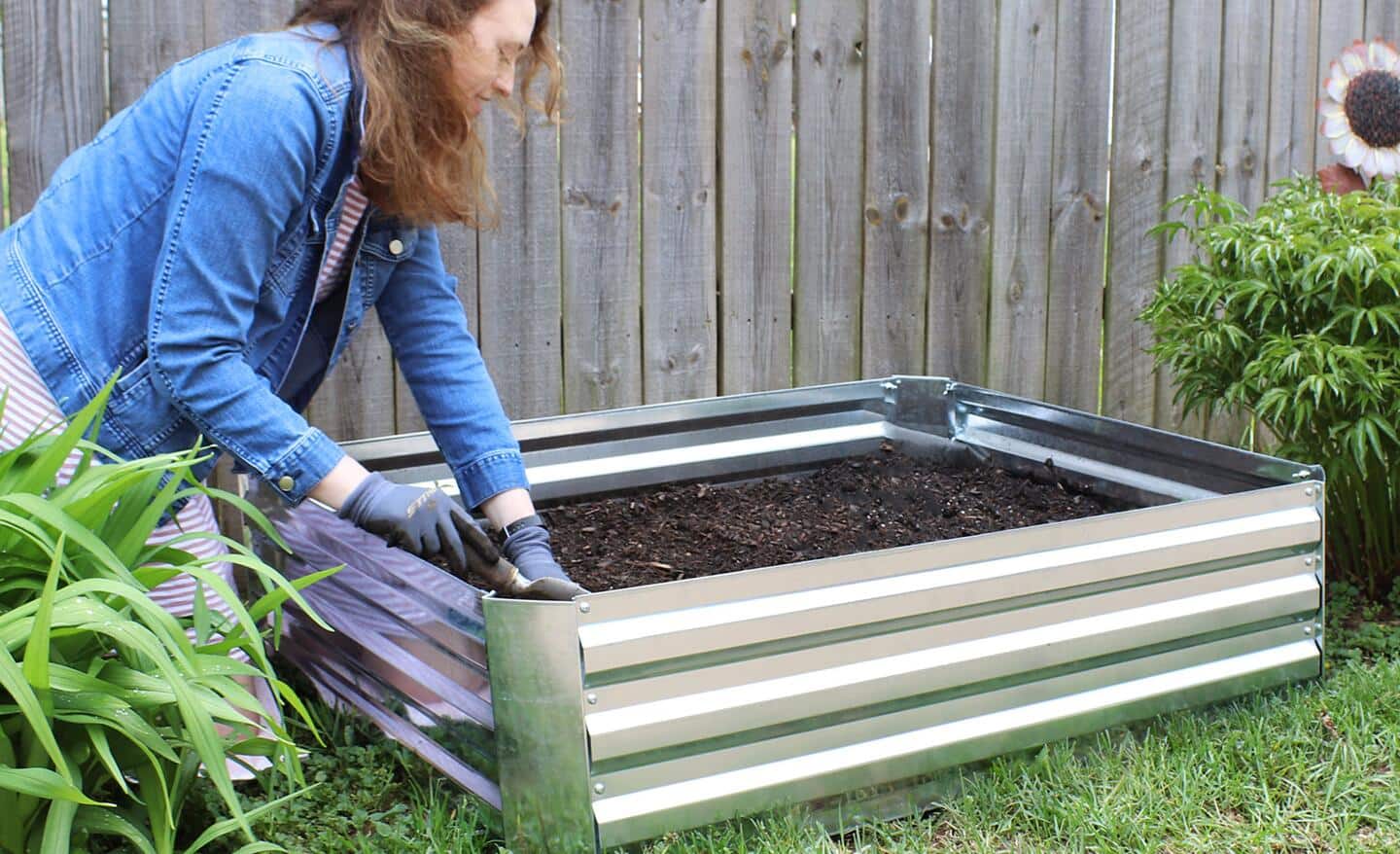 Gardener placing soil in raised garden bed