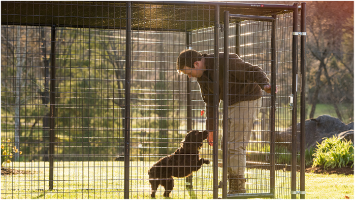 Dog Kennels