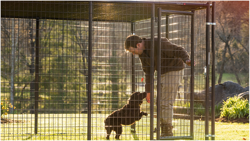 Dog Kennels Dog Kennels