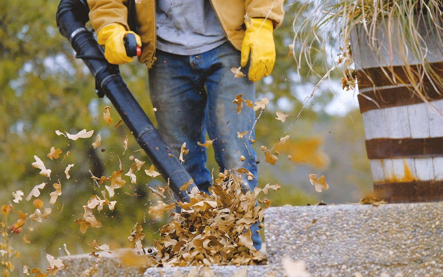 A leaf blower is being used to clear leaf debris from concrete steps.