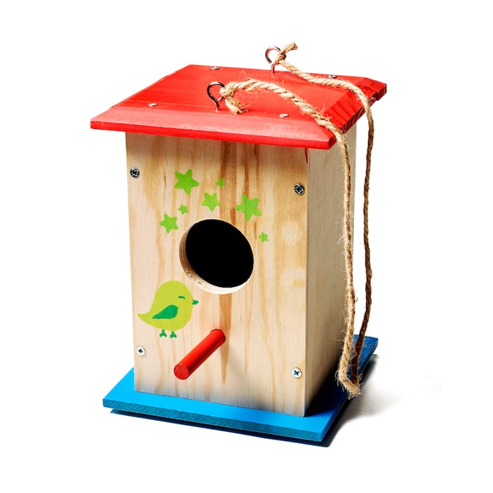 Kids Toys