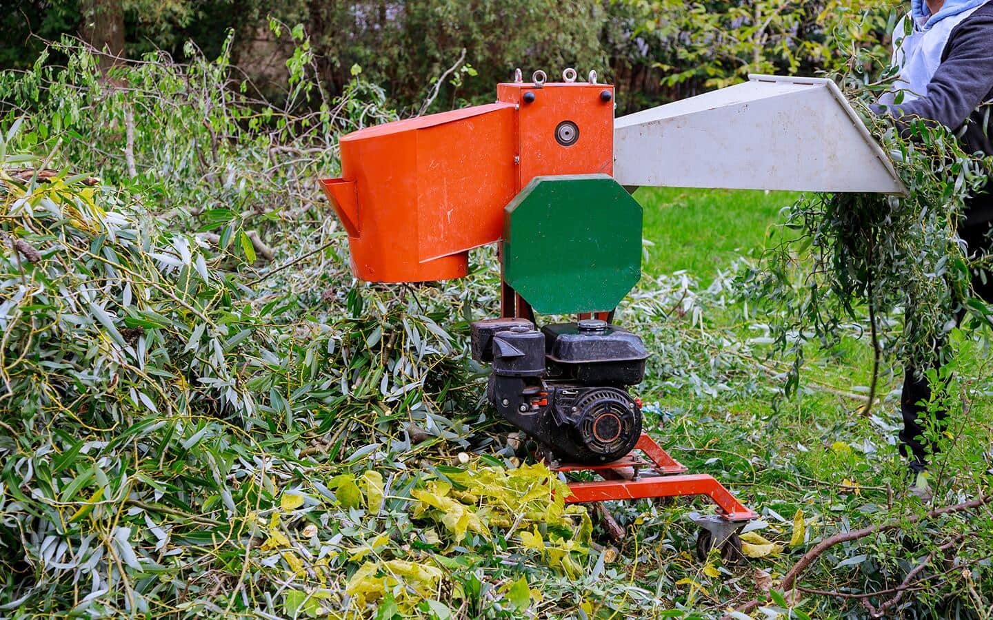 A person using a small wood chipper. A person using a small wood chipper.