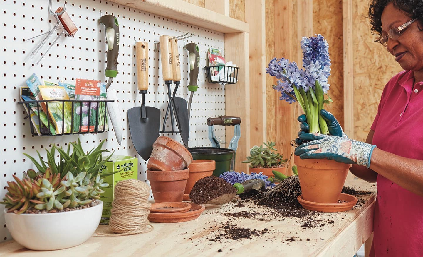 A woman transplants hydrangeas on a potting bench next to a pegboard wall