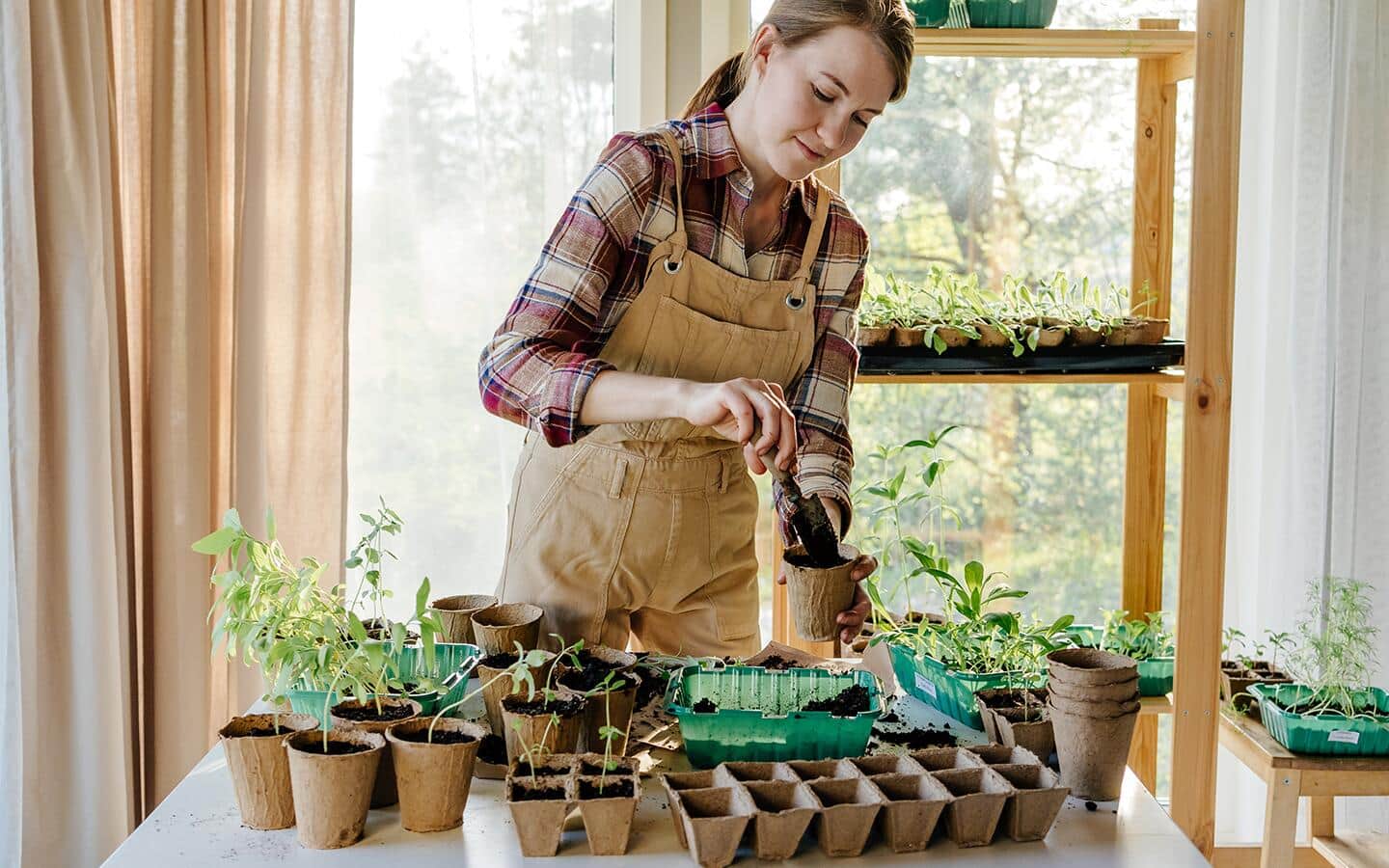 How to Start Seeds in Peat Pots - The Home Depot