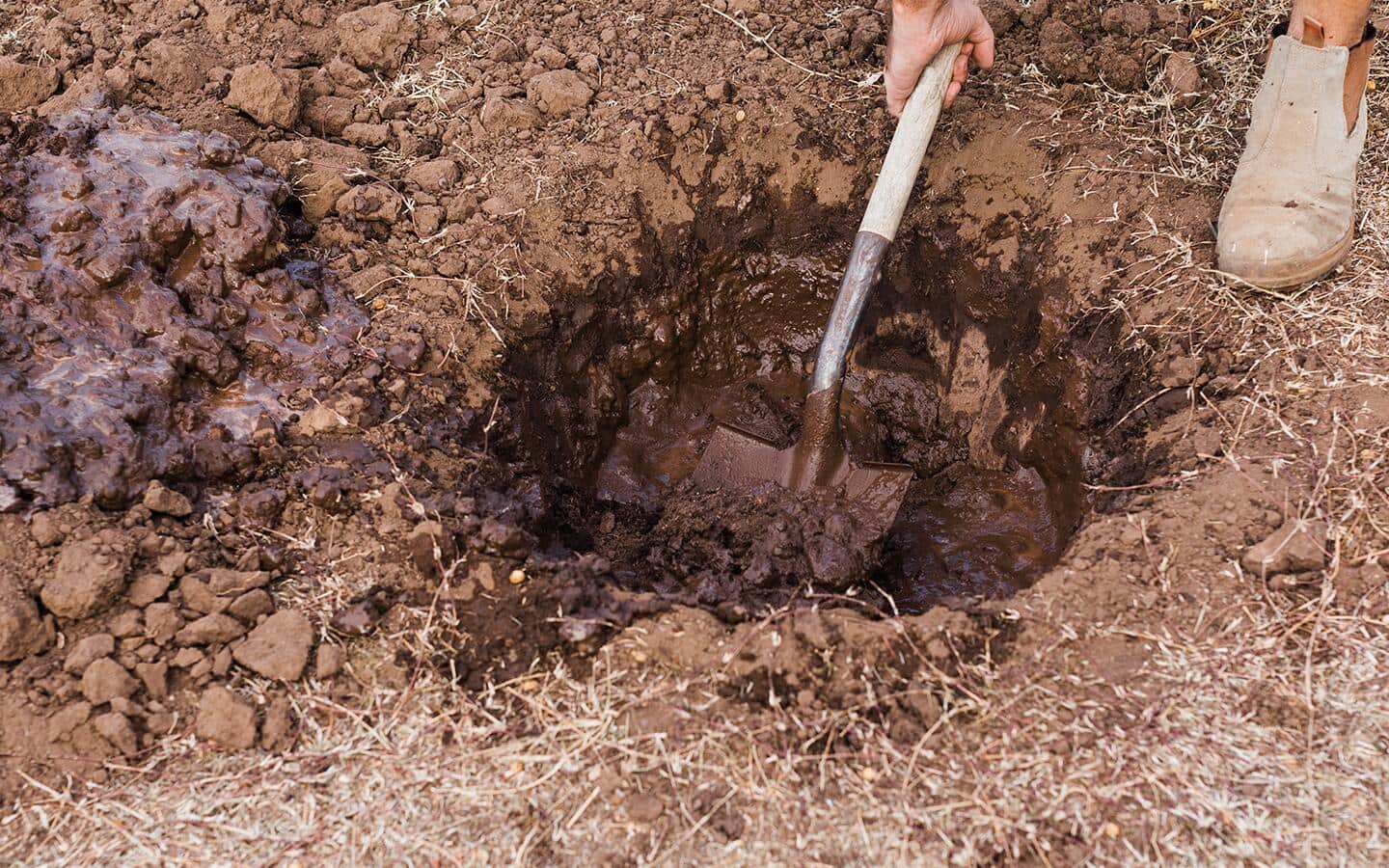 Someone testing soil before creating a rain garden.