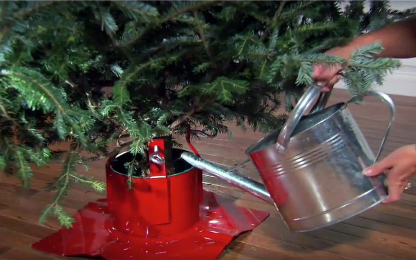 A person pouring water from a metal watering can into a Christmas tree's stand. A person pouring water from a metal watering can into a Christmas tree's stand.