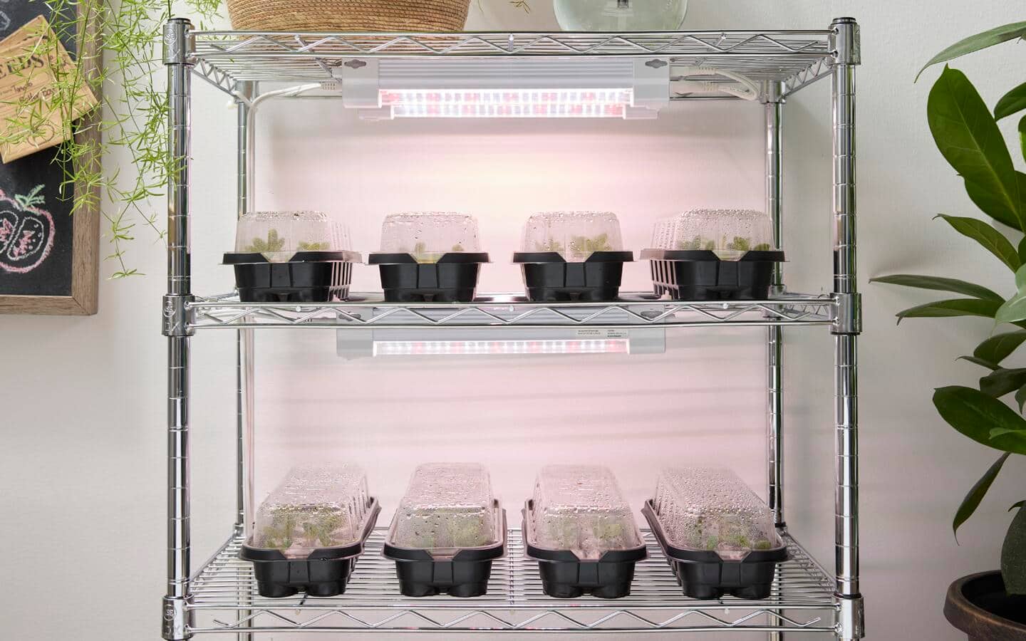How to Start Seeds Indoors - The Home Depot, image size:1440x900