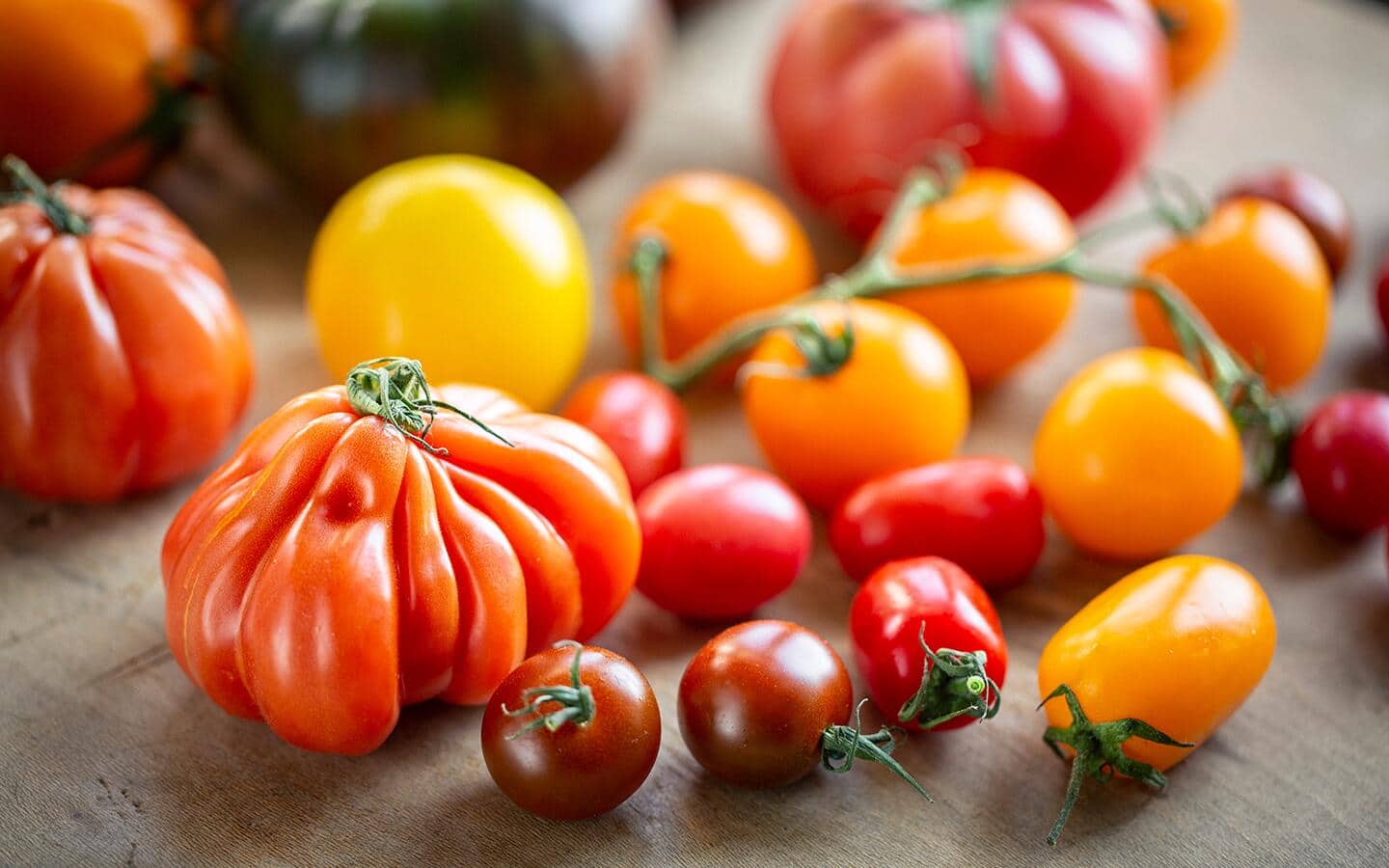 Different varieties of tomatoes on a countertop. Different varieties of tomatoes on a countertop.