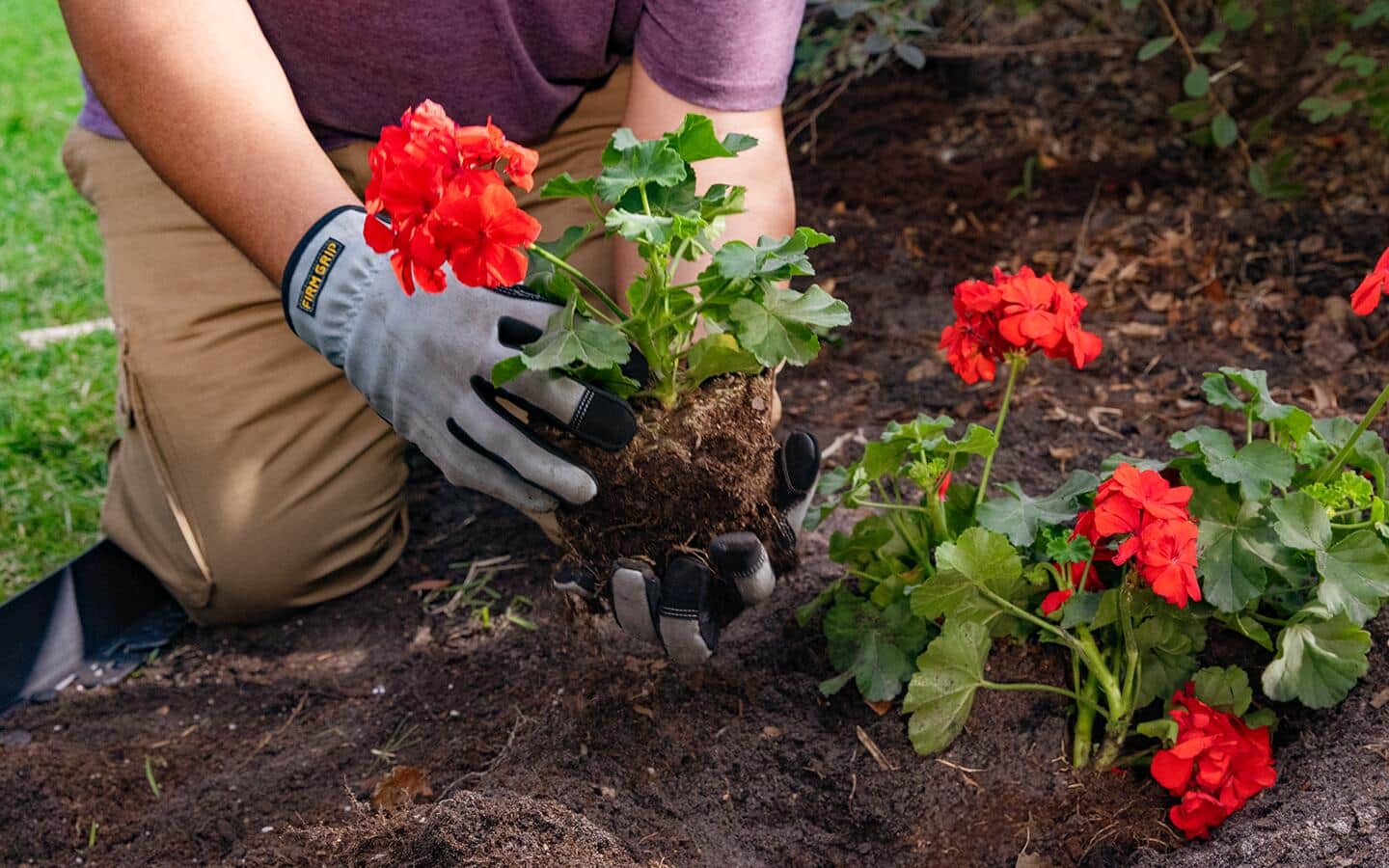 Someone wearing work gloves in a garden.