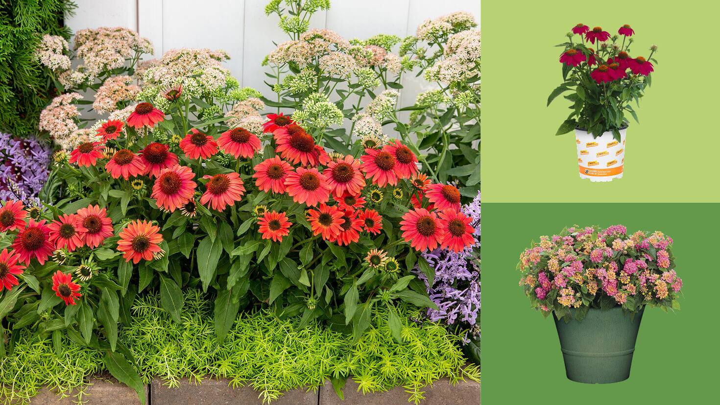 KEEP YOUR GARDEN GROWING