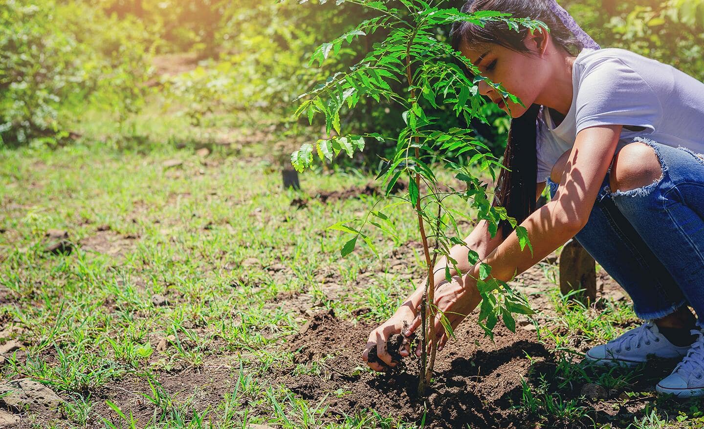 Woman planting a tree in a backyard