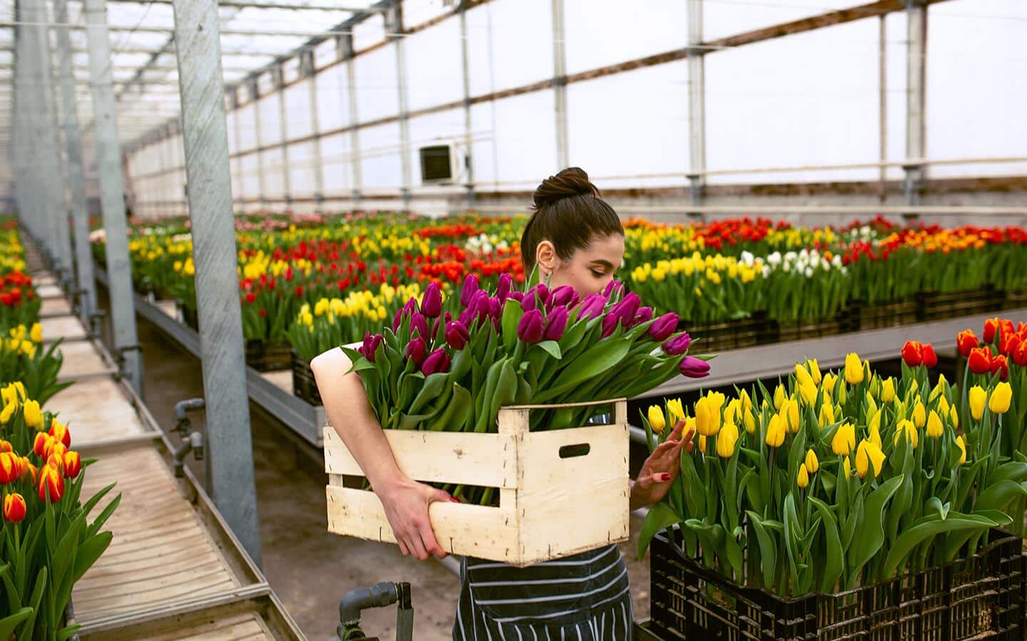 A woman filling a box with blooming plants and in a garden center.