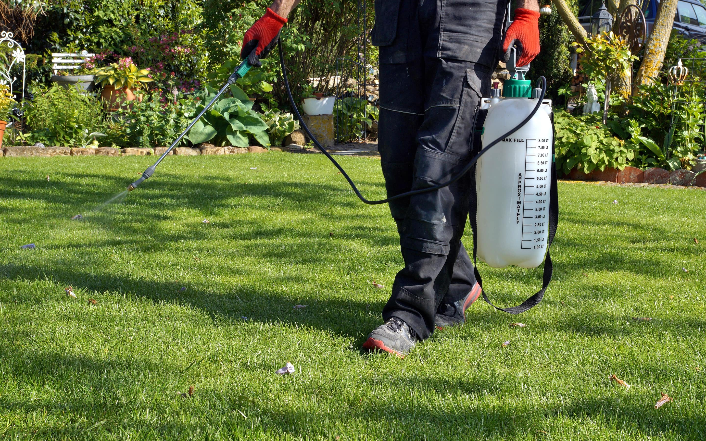 A person spraying pesticide on a lawn.
