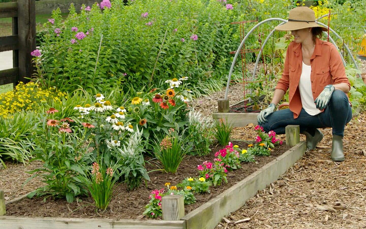 Someone admiring their newly planted flower garden. Someone admiring their newly planted flower garden.