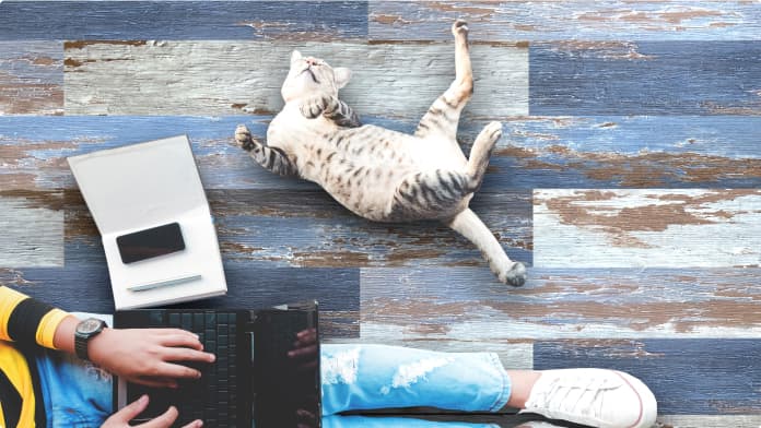 Types of Vinyl Flooring