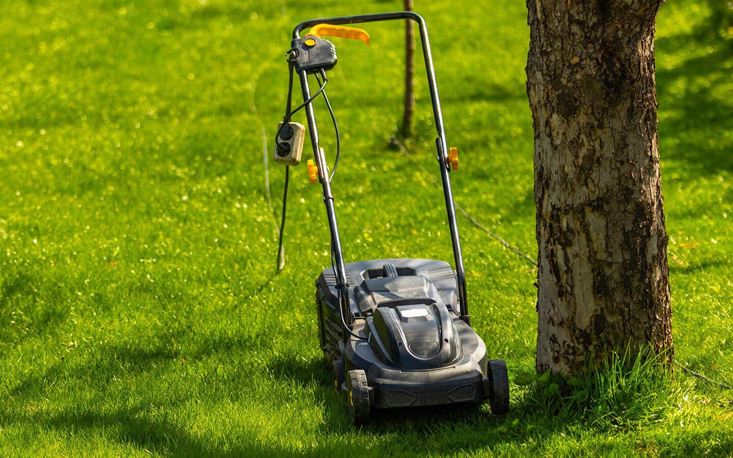 A corded electric lawn mower is beside a tree trunk.