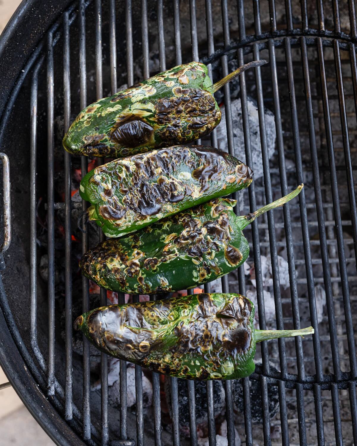 Charred poblano peppers on a grill. Charred poblano peppers on a grill.