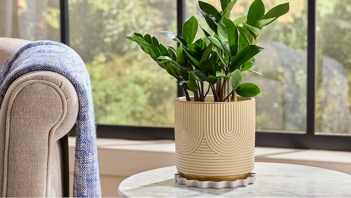 Planters - The Home Depot