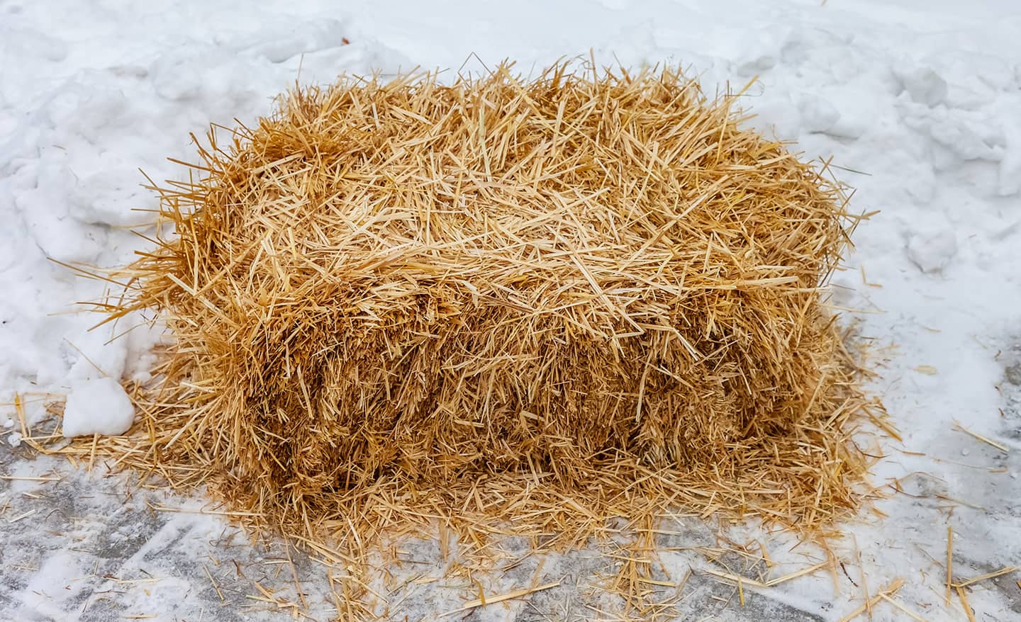 Straw bale in snow