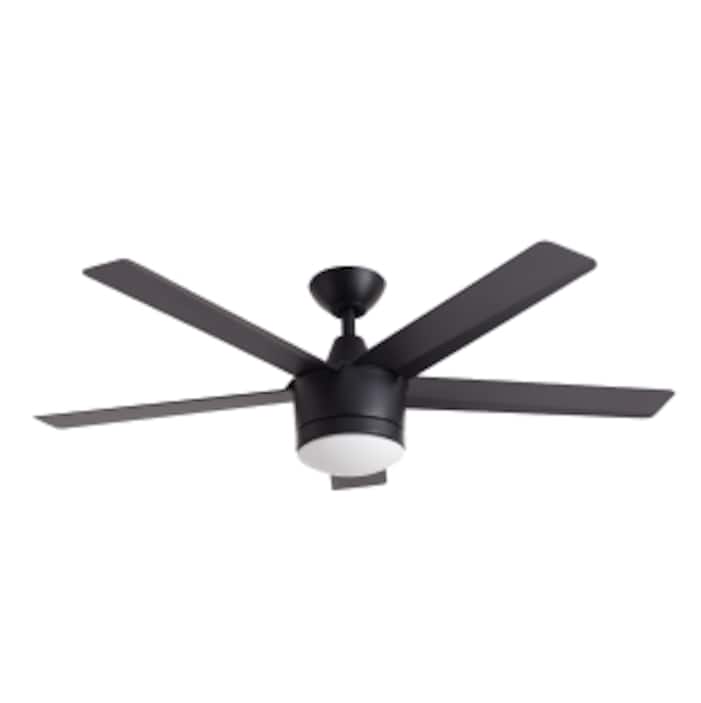 Black Ceiling Fans