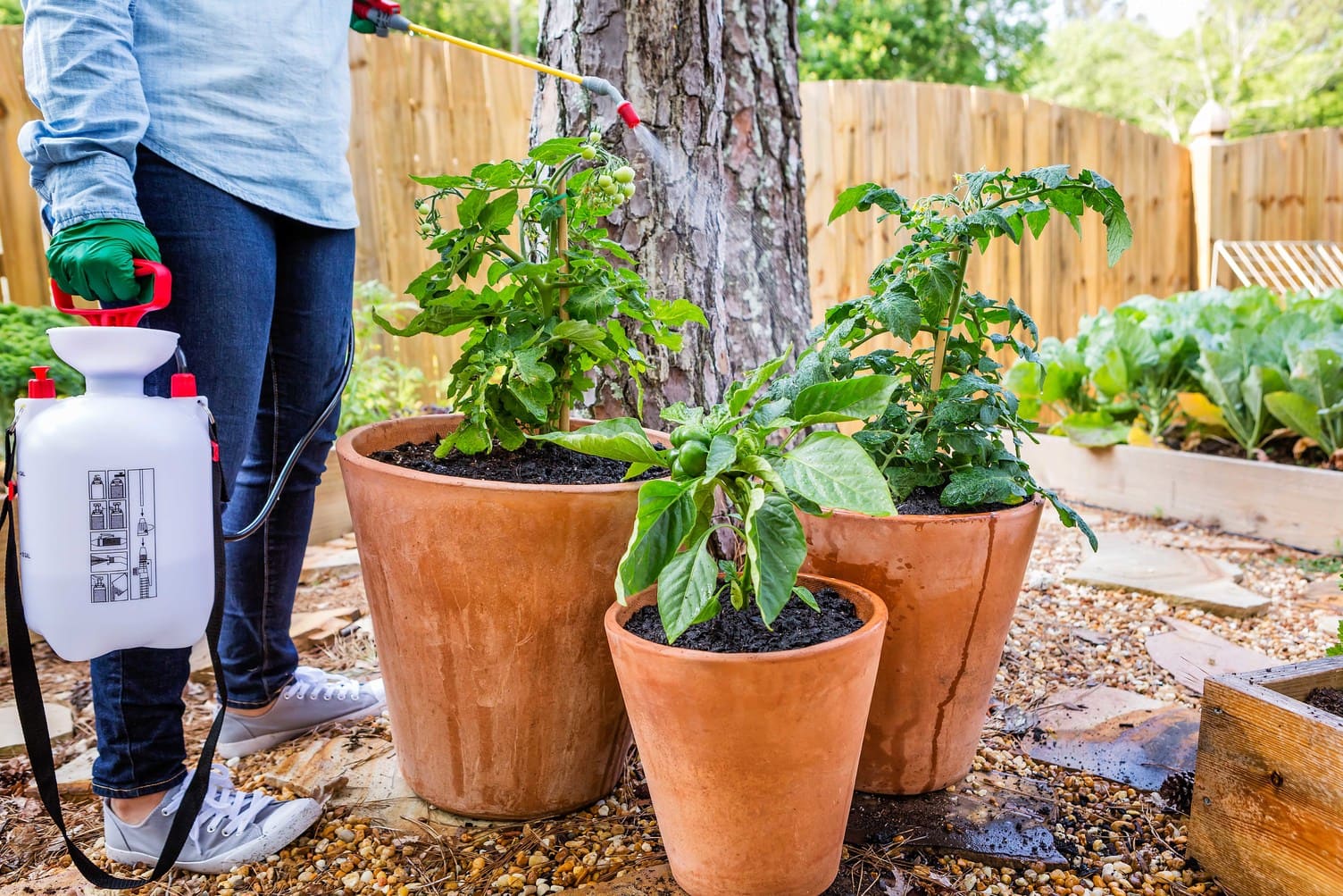 Image for FIND & FIX YOUR PEST PROBLEMS