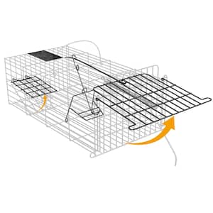 Image for Chipmunk Traps