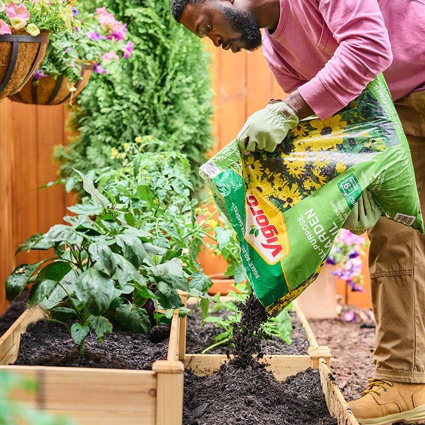 Image for Shop Soils