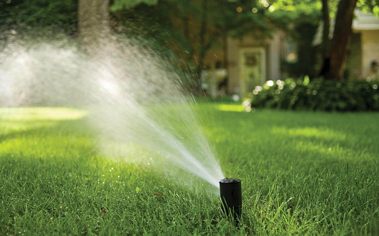 A black sprinkler sprays water over a large green lawn.