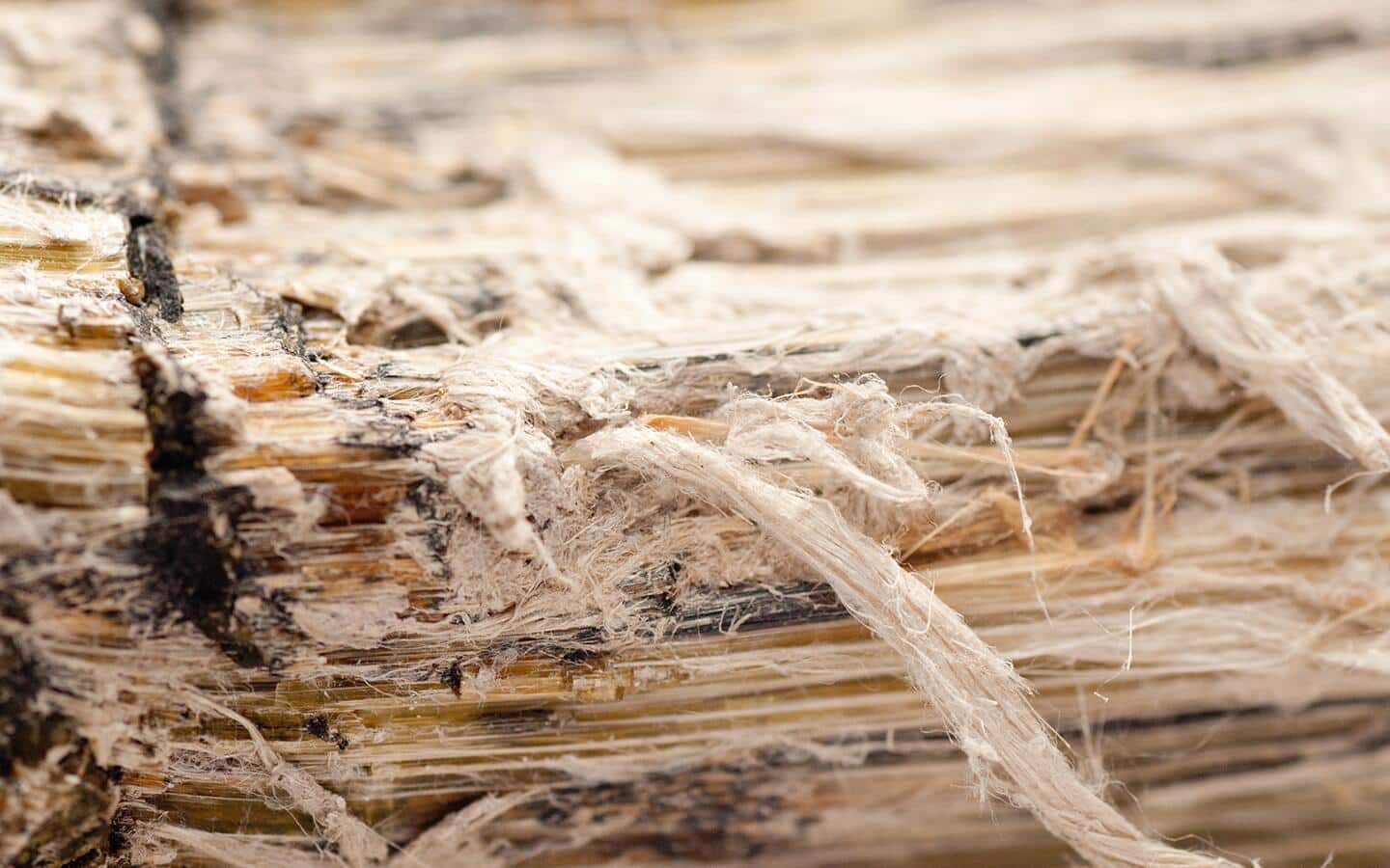 An up-close look at asbestos in vinyl flooring. An up-close look at asbestos in vinyl flooring.