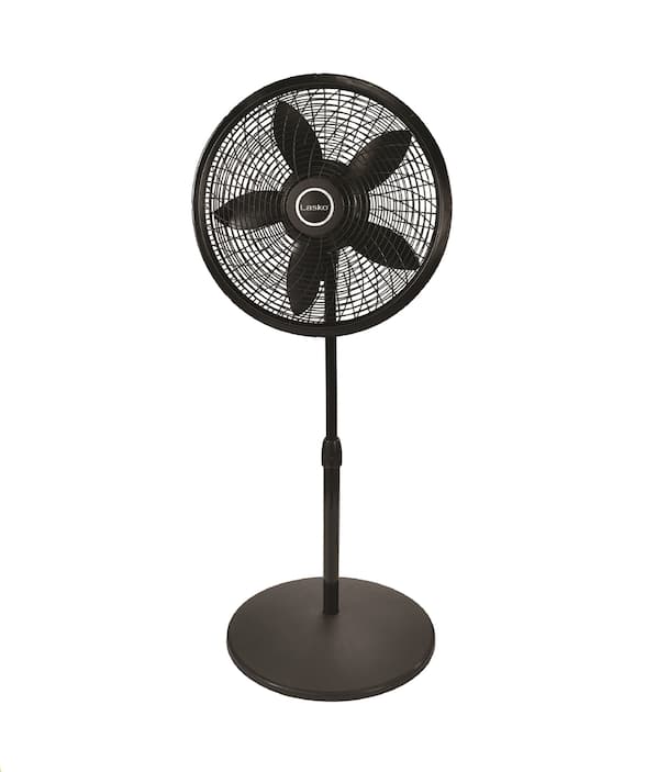 Pedestal Fans